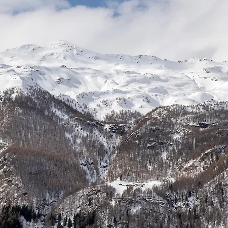 Aparthotel Larice Bianco App N2 *