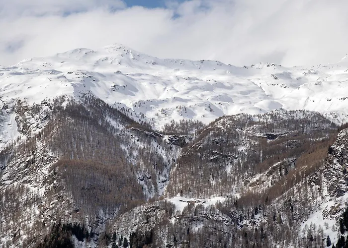 Aparthotel Larice Bianco App N2 3*